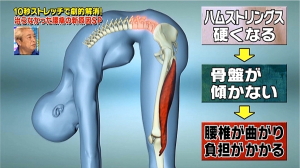 タイトハム前屈
