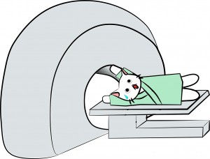 健康診断