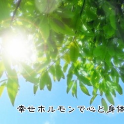 太陽の光