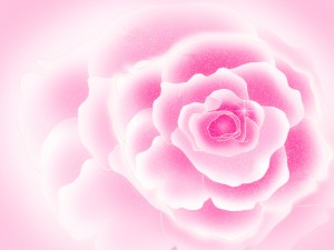 バラの花