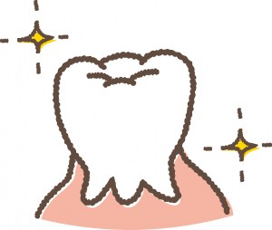 きれいな歯